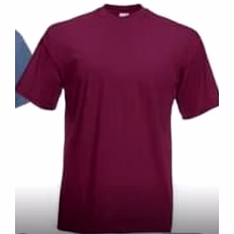 one coloured collared 100 perc pure cotton tshirts