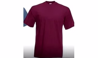 One coloured collared 100 perc pure cotton TShirts