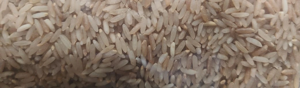 Diabetic Rice | Low GI Rice | Single Polish Rice | Loose Rice-3