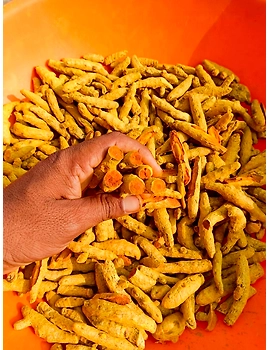 Turmeric Powder-3-sm