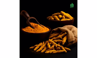 High Curcumin Turmeric Finger & Turmeric Powder | Export Grade Supplier India