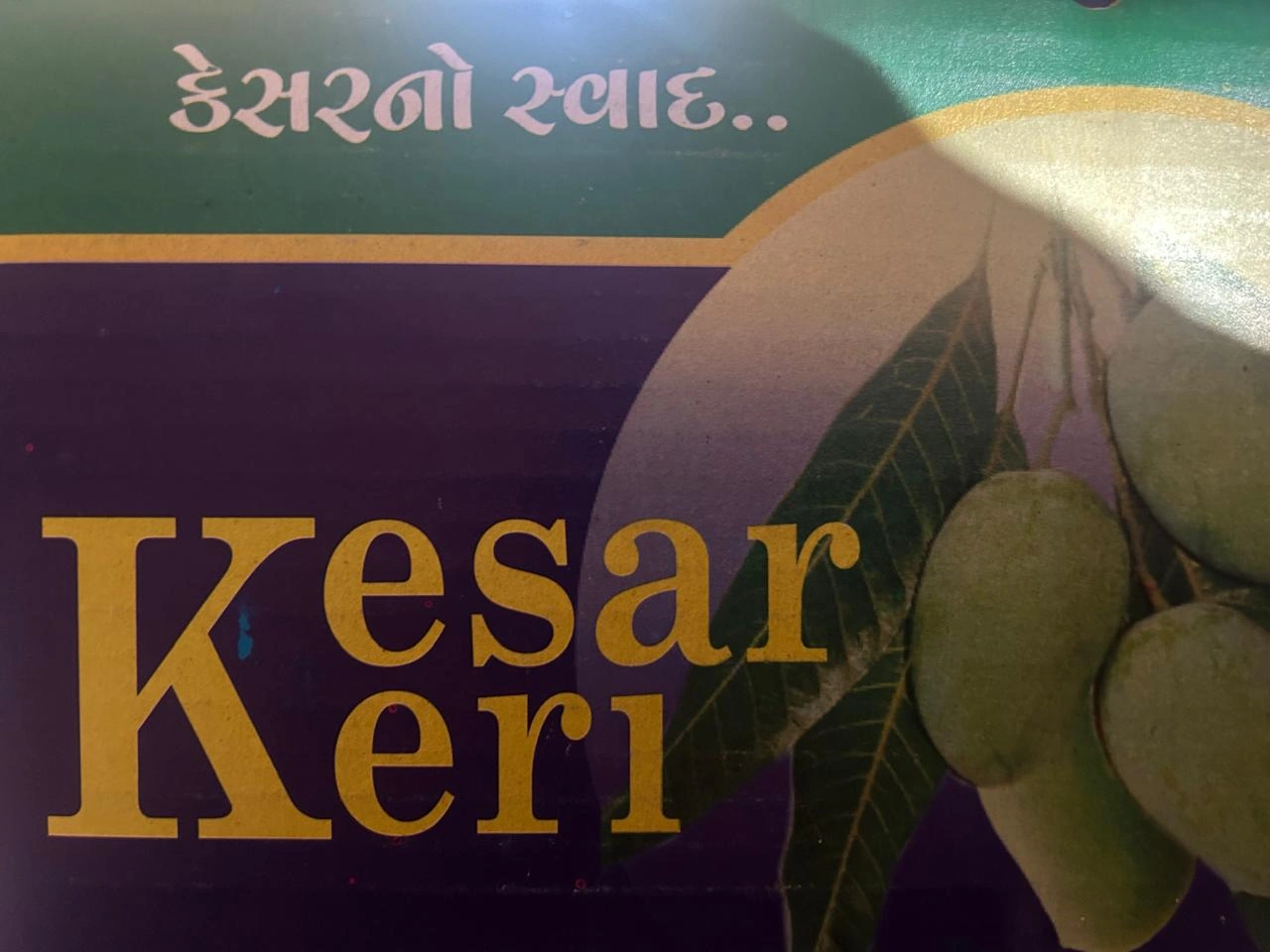 Gir Kesar Mango-1