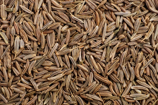 Cumin Seed-12628432