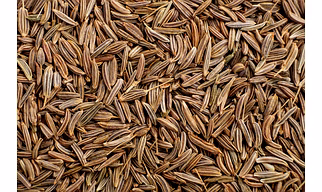 Cumin Seed