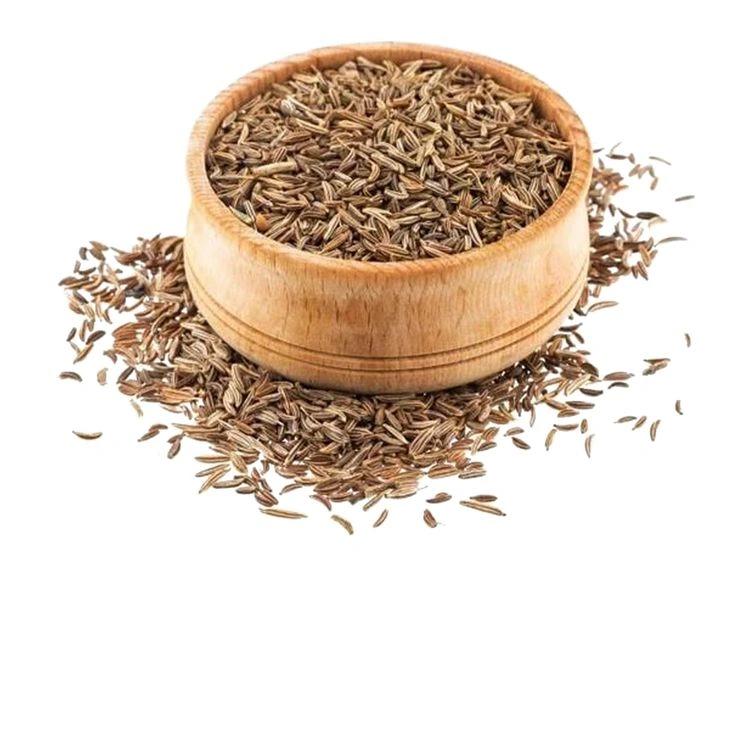 Cumin Seed-1