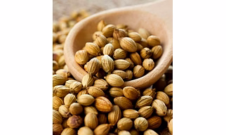 Coriander Seeds