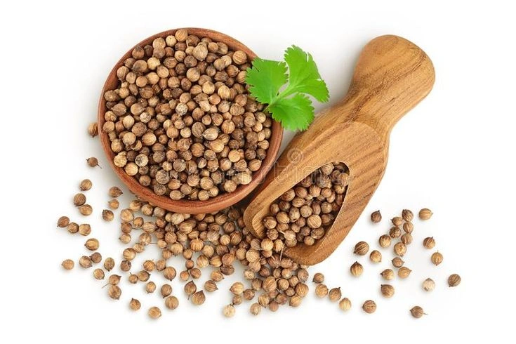 Coriander Seeds-1