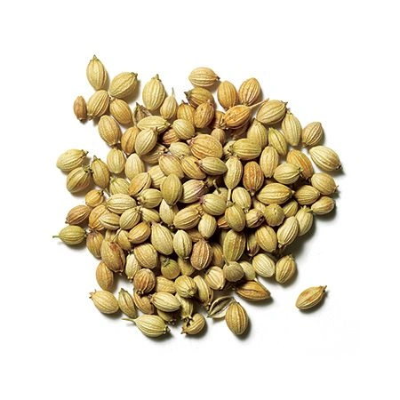 Coriander Seeds-2