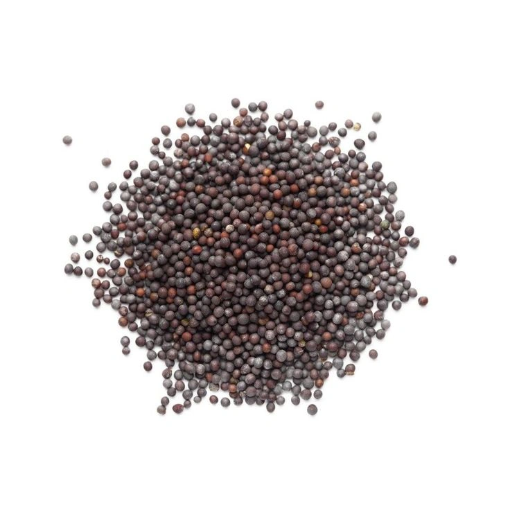 Mustard Seeds-1