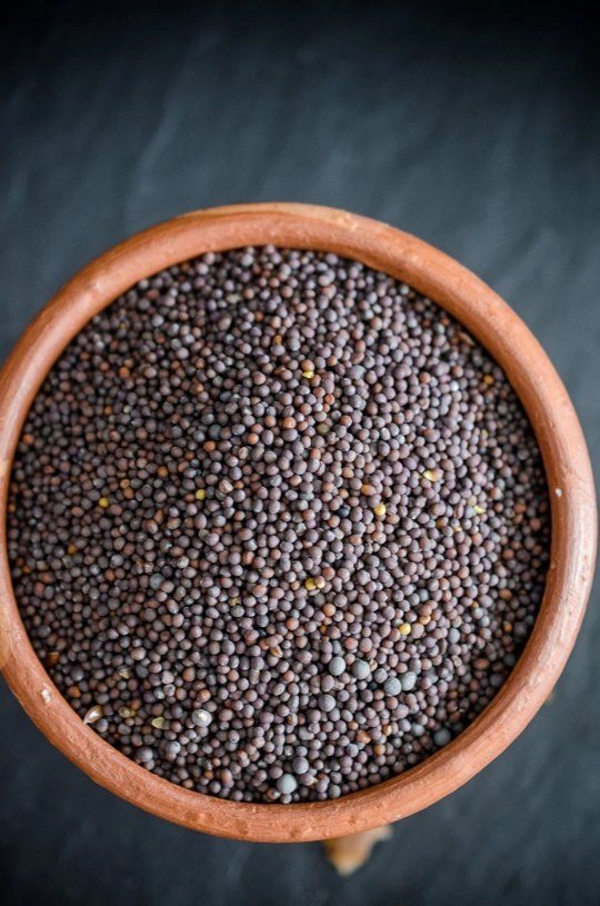 Mustard Seeds-2