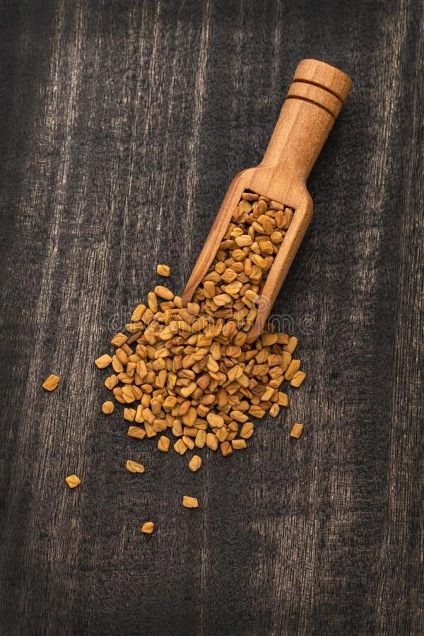 Fenugreek-12649921