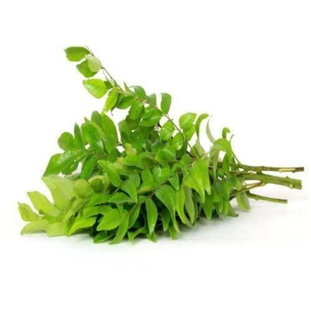 Fresh Curry Leaves-VGE1207