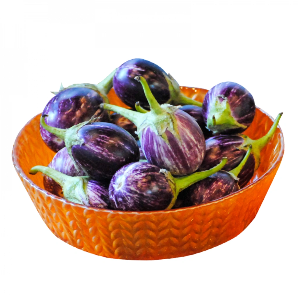 Fresh Brinjal Vari-12533238