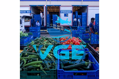 Latest News: Vegetable Exports from Hyderabad Skyrocket to Global Markets