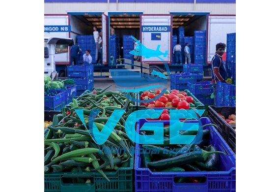 Latest News: Vegetable Exports from Hyderabad Skyrocket to Global Markets