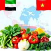 Expanding Markets: The Demand for Indian Vegetables in UAE and Vietnam