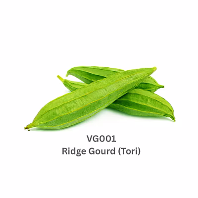 Ridge Gourd (Tori)-9503576