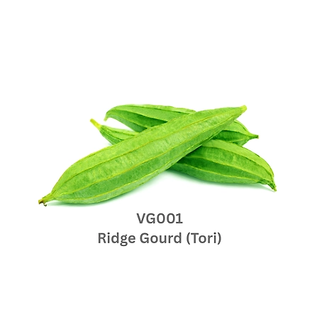 FRESH RIDGE GOURD (TURAI)-12737605