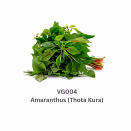 amaranthus (thota kura)