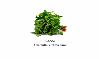Amaranthus (Thota Kura)