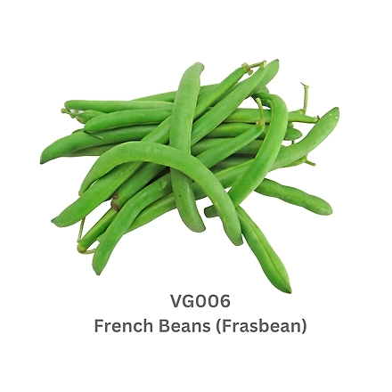 French Beans (Frasbean)-9503581