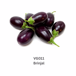 brinjal