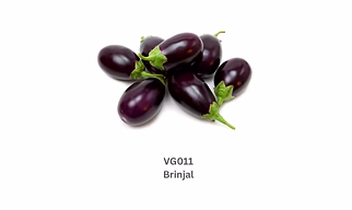 Brinjal