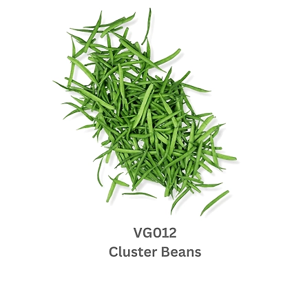 Cluster Beans / Gorichikkudu-12737733