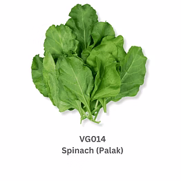 spinach (palak)