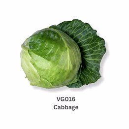 cabbage