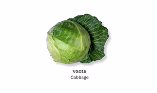 Cabbage