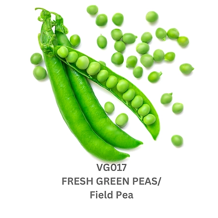 Field Pea / Green Peas-9503592