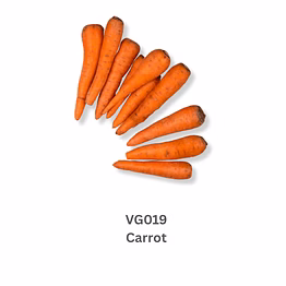carrot
