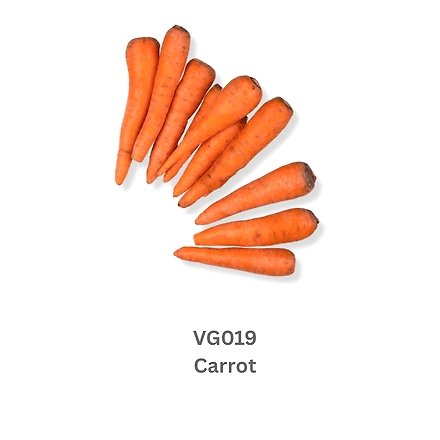 Carrot-9503594