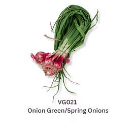 onion green/spring onions