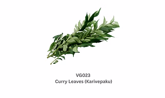 Curry Leaves (Karivepaku)