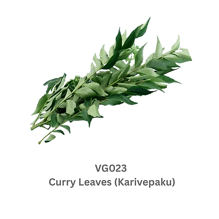 Curry Leaves (Karivepaku)-12737911