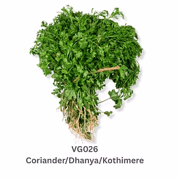 coriander/dhanya/kothimere