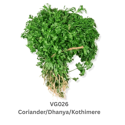 Coriander/Dhanya/Kothimere-12738185
