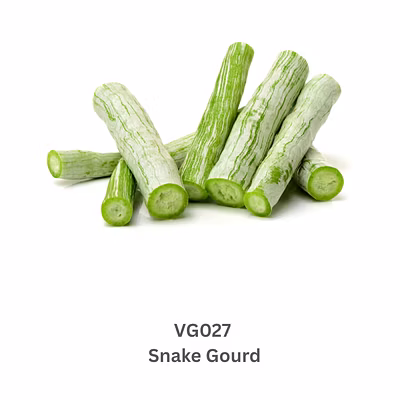 Snake Gourd-9503602