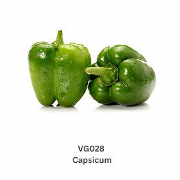 green capsicum