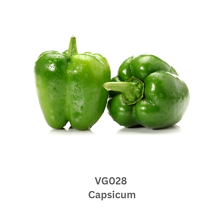 Green Capsicum-12738191
