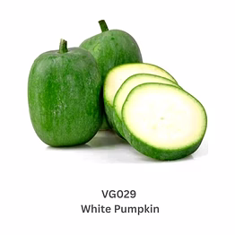 white pumpkin