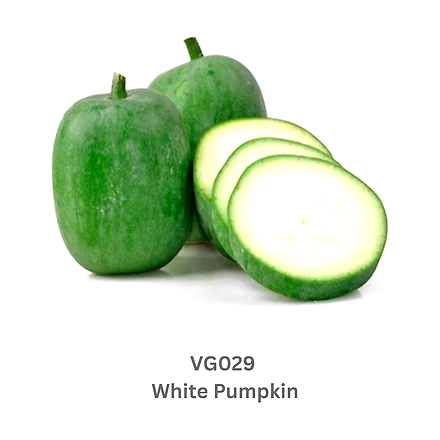 White Pumpkin-12738193