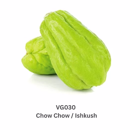 chow chow / ishkush