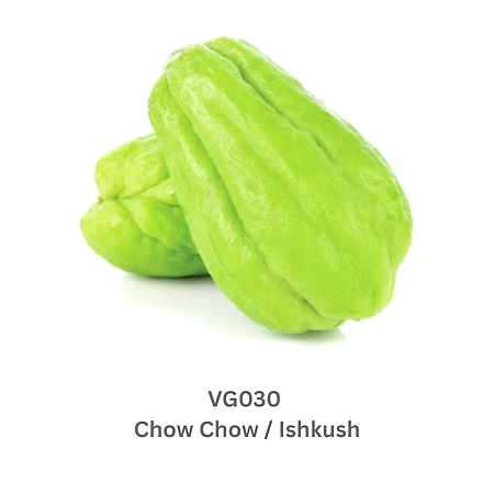 Chow Chow /  Ishkush-12738199
