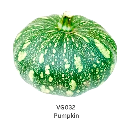 Pumpkin-12738205