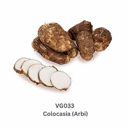 colocasia (arbi)