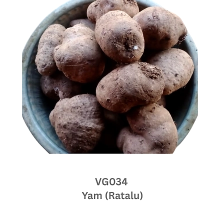 Yam (Ratalu)-12738229