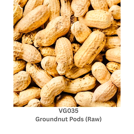 Groundnut Pods (Raw)-12738231